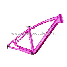 China 26 inch Aluminium Bike Frame Lady's Hardtail Xc mountainbike Vrouwen TM160L leverancier
