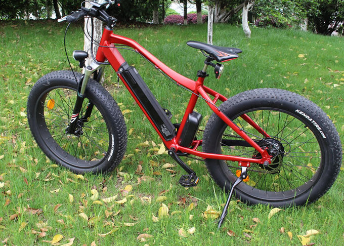 350w/36V Elektrische fiets Ebike Mountain Bike Fat Bike Snow Bike Achterhoek motor 0